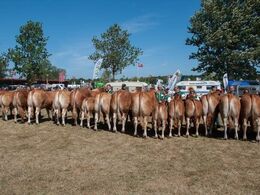 Spændingen er udløst. Ærespræmievinderne er fundet. Se alle vinderne i et separat galleri.