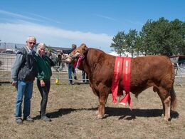 Bedste handyr er fundet - se alle vinderne i et separat galleri