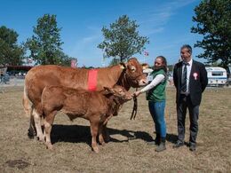 Bedste hundyr er fundet - se alle vinderne i et separat galleri