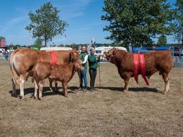 Bedste hundyr og bedste handyr i samme billede