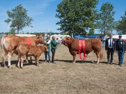 Bedste hundyr og bedste handyr sammen med årets dommere