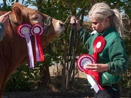 Stå pænt - du skal fotograferes. Mille Kragelund, assisteret af far Jesper, var ikke længe om at få den scenevante tyr til at stå rigtigt.