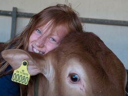 Alle elsker vi limousiner - både børnene