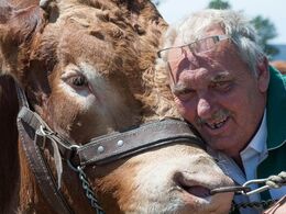 Alle elsker vi limousiner - og den ældre generation