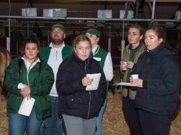 Limousine-ungdommen er godt repræsenteret