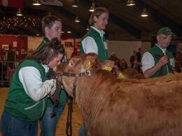 Kys til en holdvinderkvie