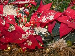 Der var i hal Q masser af inspiration til julepyntningen