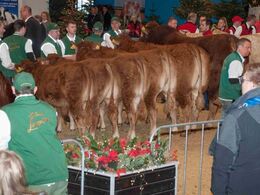 Besætningskonkurrence på tværs af racer