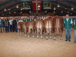 Besætningskonkurrencen på tværs af racer blev vundet af Lindegaarden Limousine, og der blev efterfølgende taget et gruppebillede med et udsnit af de deltagende udstillere