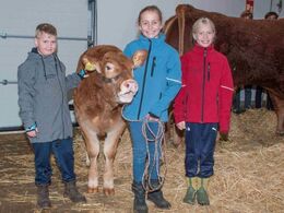 Smil til fotografen - debutanterne på kødkvægsskuet klarede sig flot
