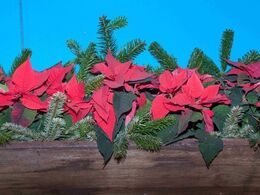 Punktum for kødkvægsskuet 2018