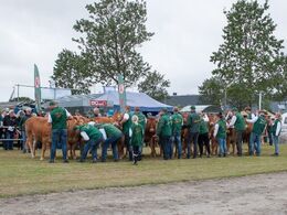 Så kom alle ind på række – men er benstillingen nu også i orden