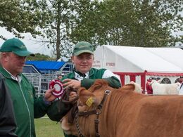 Stoltheden hos både far og søn over rød roset