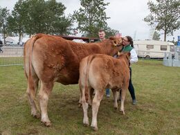 Den første ko-vinder er fundet – den storsmilende Michelle kommer vi til at se mere til på senere billeder
