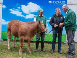 Torsdag blev den fine baggrund for fotografering testet af på et dyr, som netop var blevet handlet