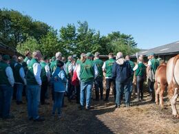 Nu kommer afgørelsen snart. Udstillerne samler sig om dommeren, der vil udpege de tre bedste afkomsgrupper