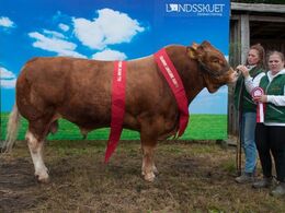 Denne erfarne fotomodel stod rigtigt i første forsøg