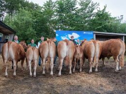 Auktionsudvalget samlede hvad de kunne finde af tidligere auktionsdyr