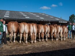 Familien Jessing samlede afkom efter koen Borre Flica