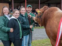 Og vinderen blev: LIMOUSINE !!