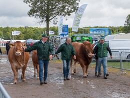 Borre Hirse og Bøgely Mister på vej retur til staldene efter Interbreed-sejren