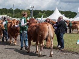 Turen hen foran tribunen for at modtage ærespræmiebeviset er ikke altid lige let