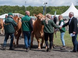 Hele tre limousine besætningsgrupper fik hver en ærespræmie