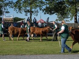Billederne i dette galleri går ”lige til sagen” – de indledende bedømmelser, som startede tidligt torsdag morgen. Først de små tyre. Den franske dommer i 2022 hed Jeremy Desassure. Han havde Olivier Rambert med som dommerassistent.