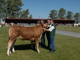 Der var ingen rosetter at uddele til en start – leveringen af dem var desværre forsinket. Det ændrede dog ikke på at dyrene tog sig godt ud i det flotte sommervejr.