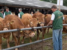 Fredag morgen gøres der klar til ”afkomsfremvisning ved bommene”