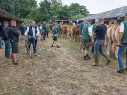 Folk begynder at stimle sammen for at se afkom efter: Bresil, Engy, Hermes, Import, Jensius, Jipsy og Oulala