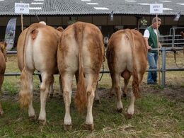 Afkom efter Jensuis PP