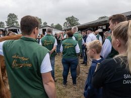Den franske dommer har kigget nøje på dyrene og er nu klar til at udpege de tre bedste grupper