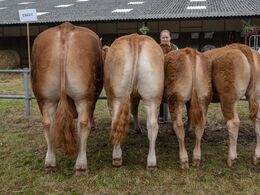 Bedste gruppe var afkommet efter Engy