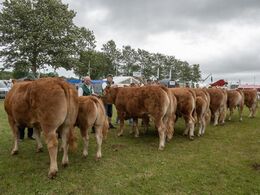 Foto fra ko-konkurrencerne, hvor Mathias Nymann Olsen sejrede i to af tre kategorier