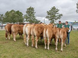 Tre par stillede op i parkonkurrencen