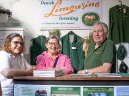 Limousineboden er altid et vigtigt samlingspunkt under hele Landsskuet. Her sælges limousinegrej. Og her brygges kaffe i spandevis til de snakkelystne og småkagespisende udstillere, hjælpere og gæster.