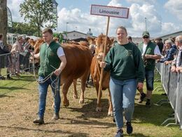 Limousinerne på vej til Interbreed i den store ring