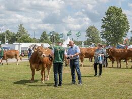 Efter tur blev ærespræmiemodtagerne læst op og kaldt frem til håndtryk og modtagelse af deres ærespræmiebevis