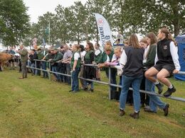 Bedømmelsen af limousiner starter i den store ring, hvor pårørende og de første publikummer er klar på sidelinjen allerede kl. 8.30