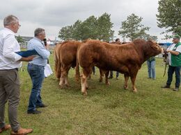 Her bedømmelse af de ældre tyre.