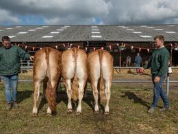 Nyt tiltag i 2023 var en regionskonkurrence. Her den sammensatte gruppe fra Region Øerne