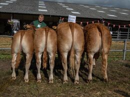 Region Nord havde udvalgt disse dyr, som deres ypperste. Det rakte til en tredjeplads.