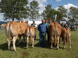 Foto fra ko-konkurrencen, hvor bedste yngre ko ses til venstre og bedste ældre ko ses til højre