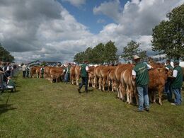 Otte besætninger stillede op i besætningskonkurrencen. Billederne af de enkelte besætningsgrupper lykkedes desværre ikke pga. kameraproblmer.