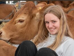 Afslapning og hygge i stalden