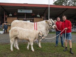 Vinderen indenfor hundyrene blev Charolais, efterfulgt Simmental på andenpladsen og Limousine på tredjepladsen