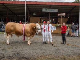 Vinderen indenfor handyrene blev Simmentaler, efterfulgt af Limousine på andenpladsen og Angus på tredjepladsen.