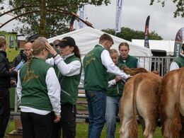 Bedømmelsen af limousiner starter i den store ring – se hvordan der også rettes på lokkerne blandt nogle af  trækkerne