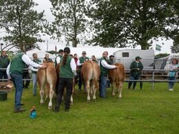Det er dog primært limousinerne, der får rettet på lokkerne, hvilket i starten var ret omsonst på grund af regnvejr